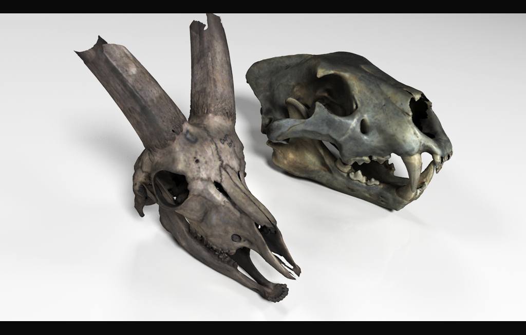 [:de]Digitalisierung[:en]Digitalization[:]